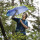 Euroschirm Trekking-Regenschirm light trek ultra hellgrün