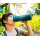 GRAYL UltraPress™ Purifier Bottle Forest Blue